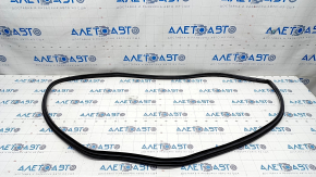 Door seal rear left Toyota Venza 21-