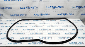 Door seal front right Toyota Venza 21-