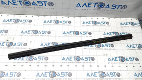 Front left door seal Toyota Venza 21- small