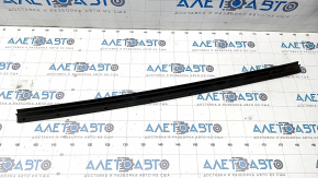 Front left door seal Toyota Venza 21- small