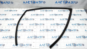 Glass seal front left Toyota Venza 21-