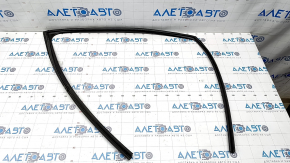 Glass seal front right Toyota Venza 21-