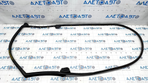 Rear left door seal Toyota Venza 21-