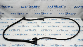 Front right door seal Toyota Venza 21-