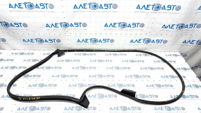Front left door seal Toyota Venza 21-