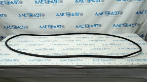 Front left door seal BMW X5 F15 14-18