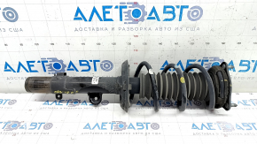Shock absorber strut assembly front left Honda CRV 17-19 FWD