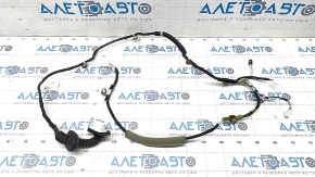 Rear right door wiring Toyota Venza 21-