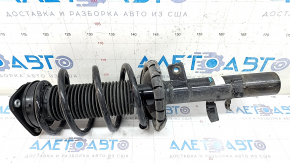 Shock absorber strut assembly front right Ford C-max MK2 13-18 energi, TRQ