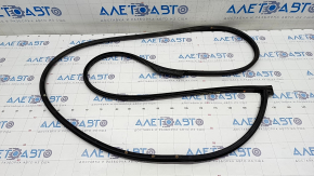 Front left door seal Hyundai Kona 18-23