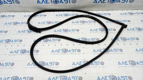 Front right door seal Hyundai Kona 18-23