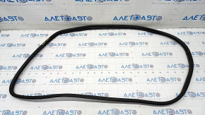 Door seal rear left Hyundai Kona 18-23