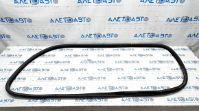 Door seal front left BMW X5 F15 14-18