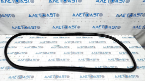 Door seal front left BMW X5 F15 14-18