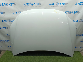 Bonnet bare VW Tiguan 09-17 iron, white LC9A