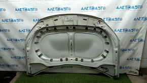 Bonnet bare VW Tiguan 09-17 iron, white LC9A