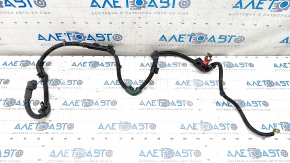Starter Wiring Honda Accord 13-17 2.4