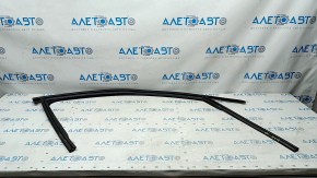 Glass seal front right Audi Q5 80A 18-24