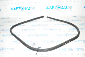 Door seal lower left Dodge Challenger 09- tear