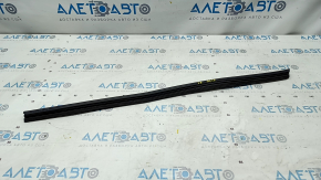 Glass seal inside front right door Audi Q5 80A 18-24