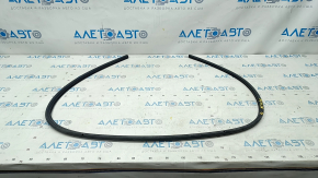 Front left door seal Audi A5 F5 17- 5D