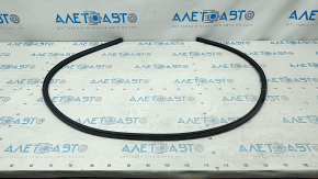 Front right door seal Audi A5 F5 17- 5D