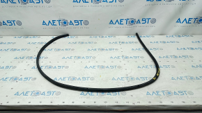 Door seal rear left Audi A5 F5 17- 5D