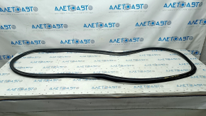 Audi A5 F5 17-5D Trunk Door Seal