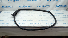 Door seal rear left Audi A5 F5 17- 5D