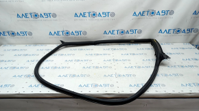 Door seal rear right Audi A5 F5 17- 5D