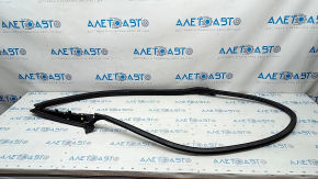 Door seal front left Audi A5 F5 17- 5D