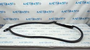 Door seal front right Audi A5 F5 17- 5D