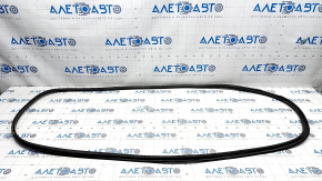 Front right door seal Audi A6 C7 12-18