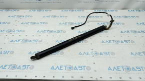 Shock absorber trunk door left Audi A5 F5 17- 5D electric