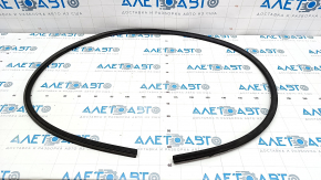 Door seal lower rear left Audi Q8 19-