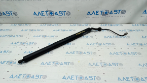 Trunk door shock absorber left Lincoln Nautilus 19-23 electric