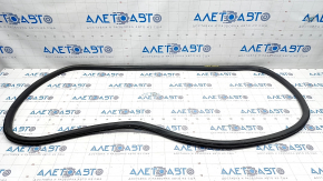Front left door seal for Ford Fusion mk5 13-20
