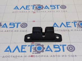 Tesla Model X 16-21 Rear Left Door Lock Trim