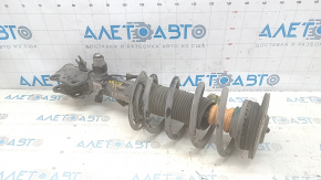 Shock absorber strut assembly front left Lincoln Nautilus 19-23 electric FWD