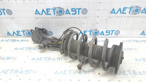 Shock absorber strut assembly front right Lincoln Nautilus 19-23 electric FWD