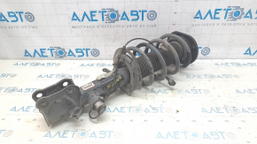 Shock absorber strut assembly front right Lincoln Nautilus 19-23 electric FWD