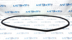Front right door seal for Chevrolet Malibu 16-23