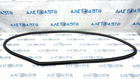 Front left door seal for Chevrolet Malibu 16-23