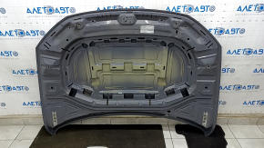 VW Jetta 19 bare hood - grey LH7J, bumps, sand