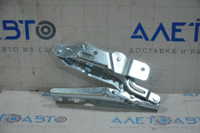 Hood hinge right Ford Ecosport 18-22