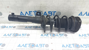 Shock absorber strut assembly front right VW Jetta 19- GLI