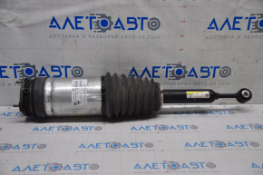 Air strut rear left Tesla Model X 16-21 type 3