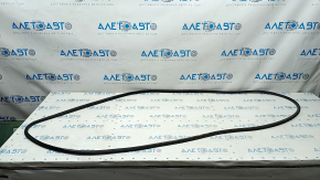 Front left door seal Audi Q3 8U 15-18