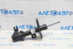Shock absorber front right Nissan Maxima A36 16-18