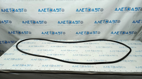 Front right door seal Audi Q3 8U 15-18